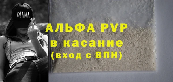 амф Пересвет