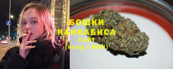 дмт Осташков