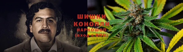 спиды Пестово