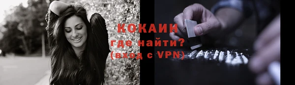 амф Пересвет