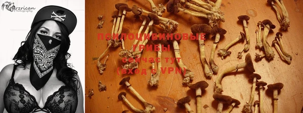 амф Пересвет