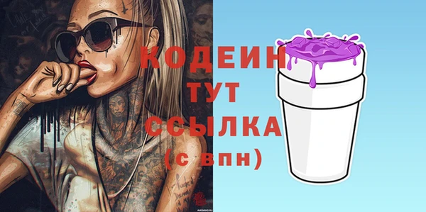 амф Пересвет