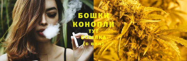 амф Пересвет