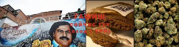 спиды Пестово